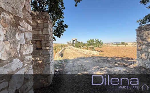 VILLA ALLO STATO RUSTICO CON TERRENO RECINTATO 1 ha RIF. 462
