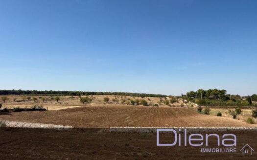 TERRENO AGRICOLO A 3 KM DAL CENTRO SP 151 RIF. 463