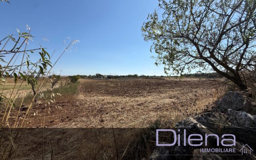 TERRENO AGRICOLO A 3 KM DAL CENTRO SP 151 RIF. 463