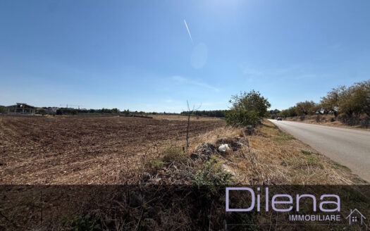TERRENO AGRICOLO A 3 KM DAL CENTRO SP 151 RIF. 463